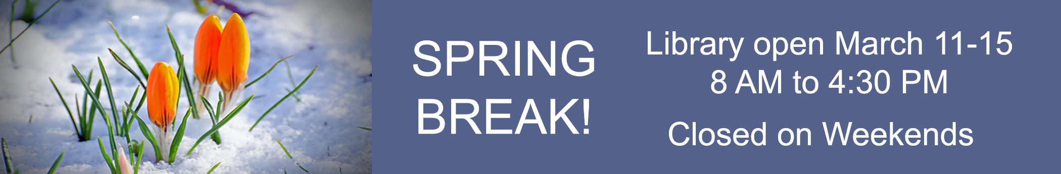 spring break library open march 11-15 8am to 4:30pm closed weekends